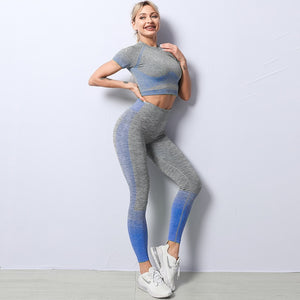 Seamless Women 2/3/5pcs Yoga Set Running Gym Workout Short Sleeve+Top Sport+Leggings+shorts+bra Fitness Suit Yoga Suit