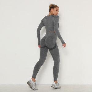 Seamless Women Sport Set For Gym Long Sleeve Top High Waist Belly Control Leggings Clothes Seamless Sport Suit Sexy Booty